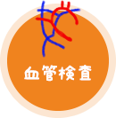 血管検査