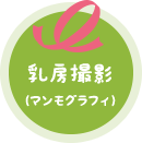 乳房撮影（マンモグラフィ）